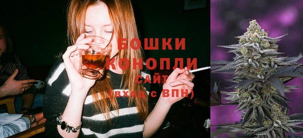 PSILOCYBIN Богородск